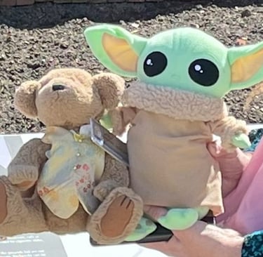 Two stuffed animals