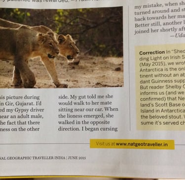 Uday kiran's image of lioness in the National Geographic Traveller