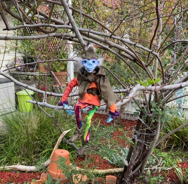 A small Forest imp spotted in tree