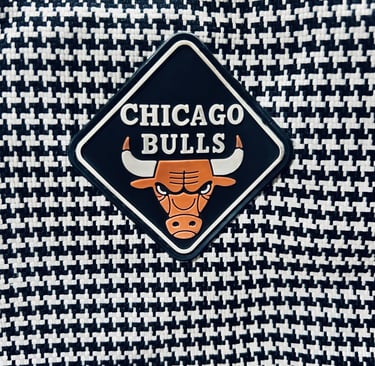 Chicago bulls bag