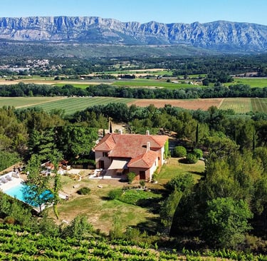 a house with a pool and a pool in the middle of a vineyard