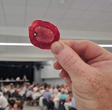 Tranche de Saucisson