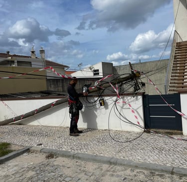 tuga tv tugatvpc best vpn proton pure 