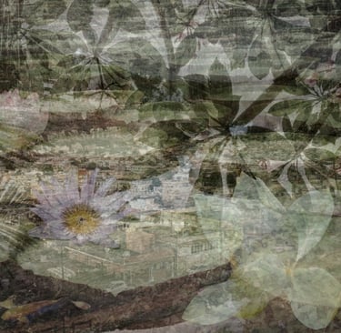 Artistic photo collage of Mauritian landscape and tropical plants, Cape Town Photography Festival 2025.