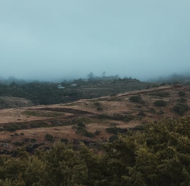 Misty hills in Rodrigues with scattered greenery and distant houses