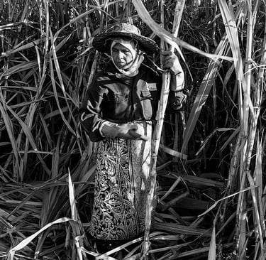 Mauritian woman in traditional attire cutting sugarcane, Cape Town Photography Festival 2025.