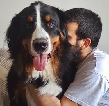 (Bentinho e Dante - Pet Sitting em Edimburgo, Escócia - Julho/2023)