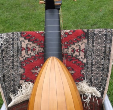 12 course lute in cherry