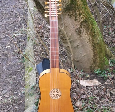 Viola de mano