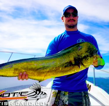a man holding a fish fish on a boat