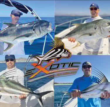 a collage of a group of four fish on a boat