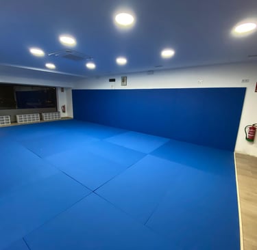 Tatami 2 de Gracie Barra Bormujos