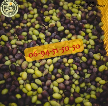 presse huile d'olive maroc