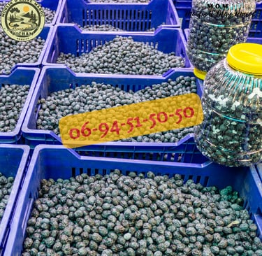 presse huile d'olive maroc