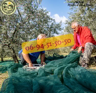 presse huile d'olive maroc