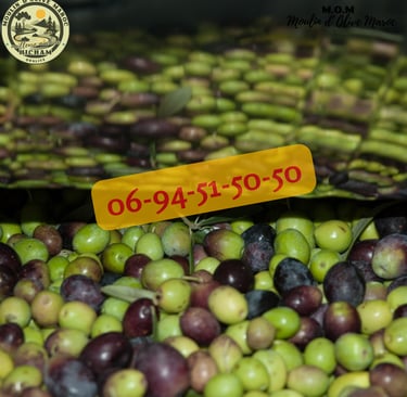 prix olive maroc