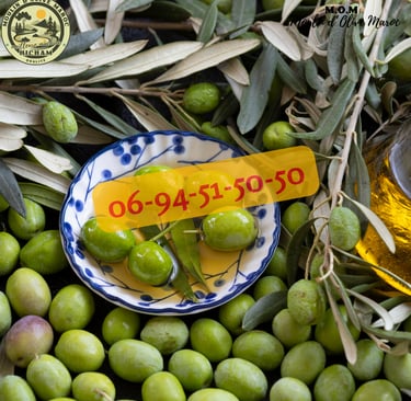 presse huile d'olive maroc
