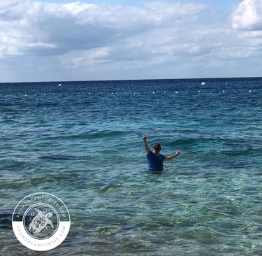 Join us for thrilling snorkel trips tailored to your skill level.