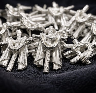 insignias de plata vera cruz Zamora