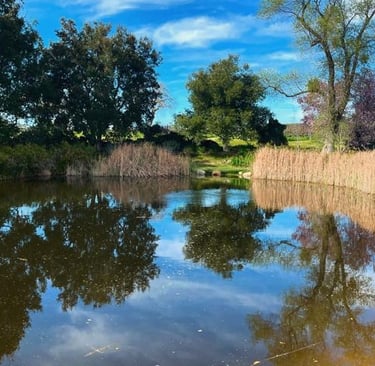 Elegant Los Olivos property with mountain views – second home and vacation mortgage solutions
