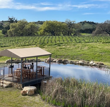 Vines on a small plot of land in Santa Ynez, symbolizing misleading “farm” real estate listings.