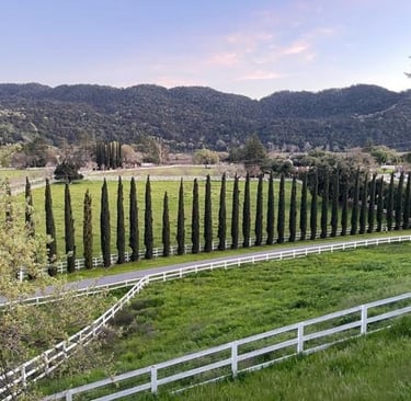 Santa Ynez Valley mountain views – peaceful real estate setting for ranches and estates