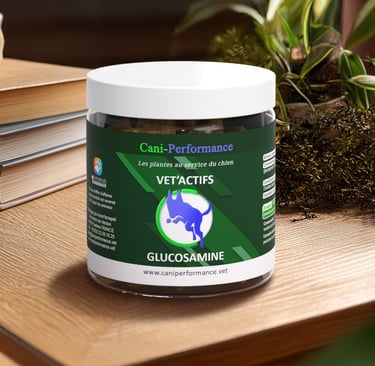 Vet'Actifs