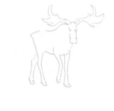 The Logo of Charging Moose Media which features a plugged in Moose