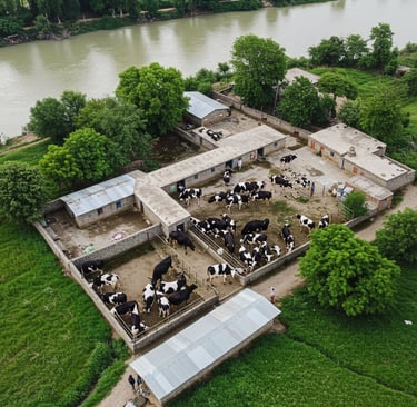 Khyber Dairy Farm