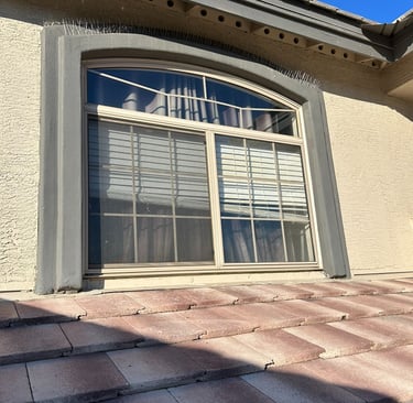 Heavy pigeon nesting and droppings under solar panels before and after professional cleanup.