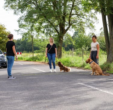 RIKA Hundeschule beim Gruppentraining