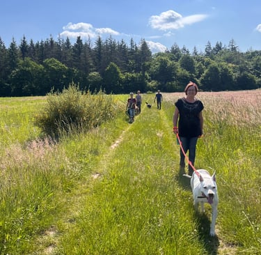 Fotot vom Social walk mit Marissa Füger von RIKA Hundeschule bei Wiesental