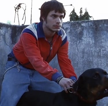 amores perros