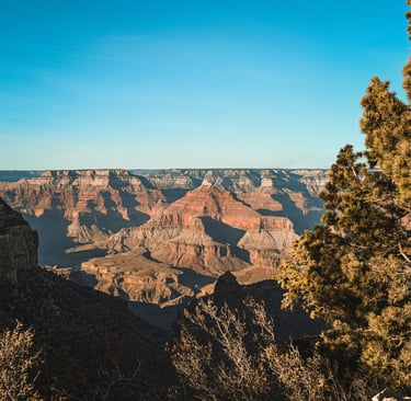  a vast view of the grand canyon