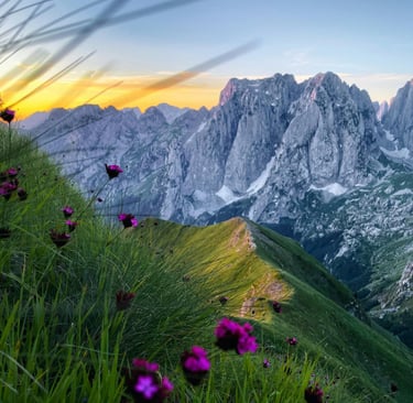 a mountain scene with a mountain range in the background