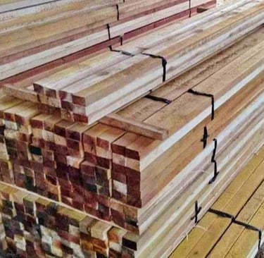 kayu lokal albasia untuk bekisting proyek