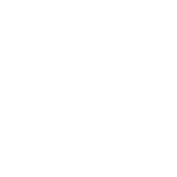 Discount - Icon