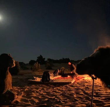 Night time view of two camel heads in sillhouette with travellers around a camp fire