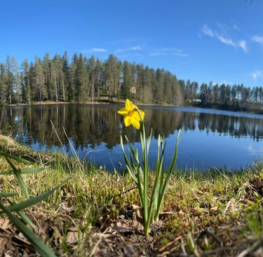 Samotność... czy Wolność?