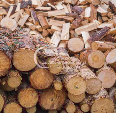 un tas de bûches