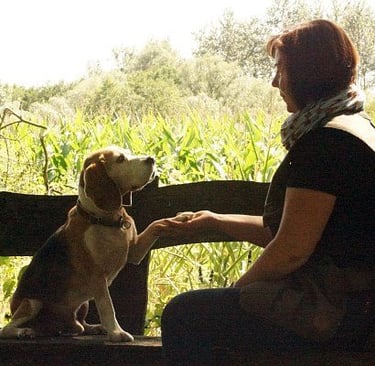 Marion Lindhof mit Beagle Monti. Monti sagt "Guten Tag"
