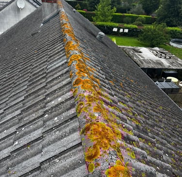 Toit avec pignon envahi par une forte prolifération de mousse, lichens et algues. Importance d’un dé