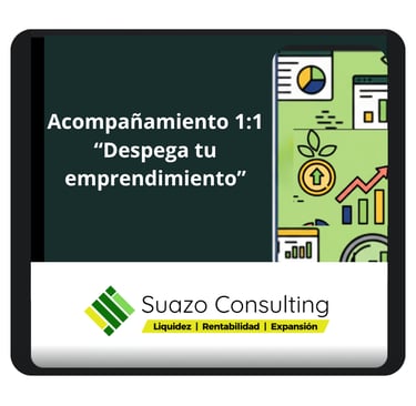 Ilustración de asesoría 1:1 para emprendedores con íconos de calendario, finanzas, estrategia y mkt
