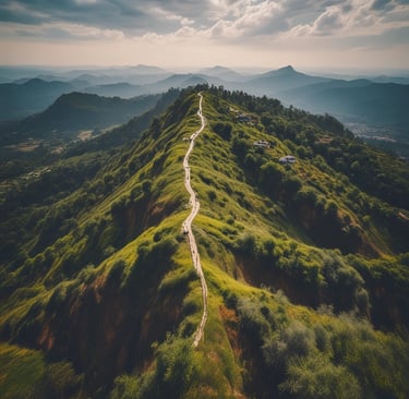 A construction site features multiple rows of newly built, unpainted apartment buildings made of concrete. Heavy machinery, including excavators, is visible around the site. The backdrop includes a suburban area with residential homes and a forested area extending into the distance.