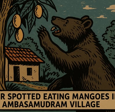 Palayamkottai.com bear
