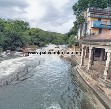 Palayamkottai.com papanasam