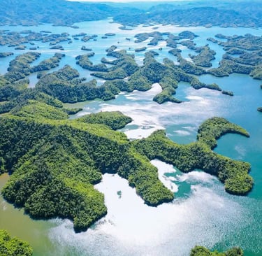 Top destination of vietanm - untouched beauty Ta Dung 