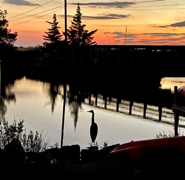 An egret fishing at sunset by Waterside Lane Bridge in Clinton, CT