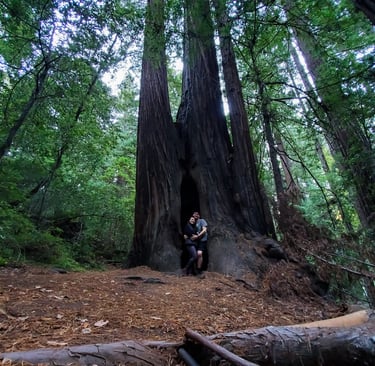 Humboldt State Park 