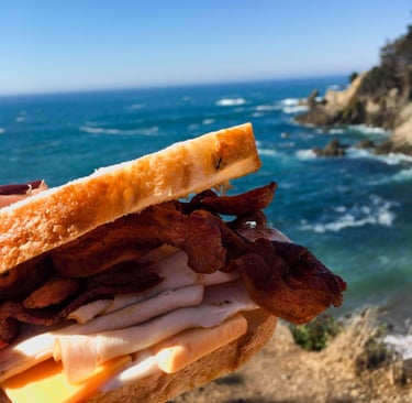 The Perfect Sandwich by the Road in California with the view of the ocean